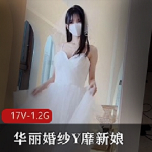 主人专属华丽婚纱